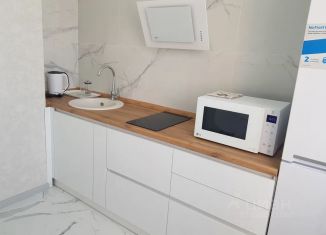 Сдача в аренду однокомнатной квартиры, 36 м2, Иркутск, микрорайон Топкинский, 67, Правобережный округ