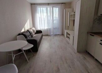 Сдам квартиру студию, 23.04 м2, Воронежская область, улица Богдана Хмельницкого, 53А
