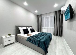 Сдаю в аренду 1-ком. квартиру, 50 м2, Оренбург, улица Саморядова, 4, ЖК Акварель