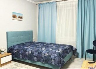 Сдается в аренду 1-ком. квартира, 40 м2, Старый Оскол, микрорайон Центральный, 4