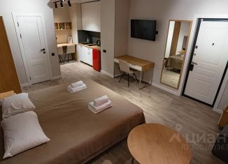 Однокомнатная квартира в аренду, 32 м2, Мурманск, проспект Ленина, 7