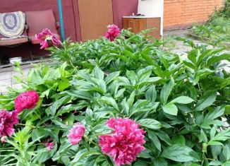 Продаю дом, 30 м2, Омск, территория СОСН Кировец-2, 43