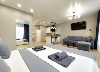 Сдаю в аренду 1-комнатную квартиру, 45 м2, Ижевск, улица Карла Маркса, 259