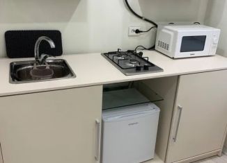 Однокомнатная квартира в аренду, 20 м2, Ярославль, Суздальское шоссе, 32, Фрунзенский район