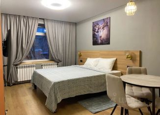 1-ком. квартира в аренду, 22 м2, Апатиты, улица Ленина, 2А