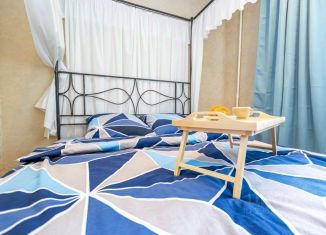 Сдача в аренду 1-ком. квартиры, 20 м2, Пермь, улица Толмачёва, 17