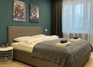 Сдам в аренду 1-комнатную квартиру, 30 м2, Мурманск, улица Карла Маркса, 45