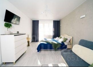 Аренда 1-ком. квартиры, 38 м2, Пермь, улица Добролюбова, 1