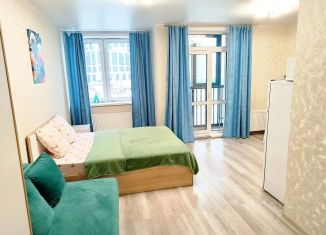 Сдаю в аренду квартиру студию, 30 м2, Пермь, улица Подводников, 112, Индустриальный район