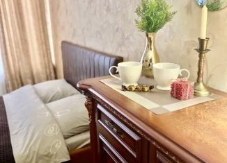 Сдаю квартиру студию, 28 м2, Иркутск, Октябрьский округ, Байкальская улица, 244/2