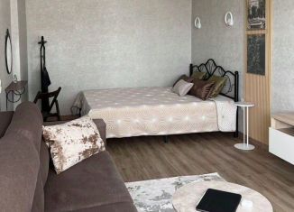 Сдается квартира студия, 43 м2, Ульяновская область, улица Кирова, 6/2