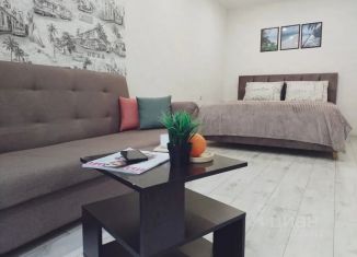 1-ком. квартира в аренду, 49 м2, Ставрополь, улица Чехова, 67