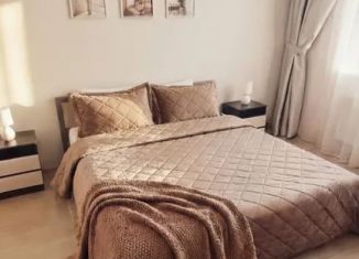 Сдаю в аренду 1-ком. квартиру, 39 м2, Воронеж, улица Димитрова, 51А