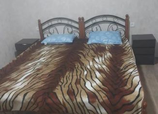 Дом в аренду, 35 м2, Дагестан, Партизанская улица, 63