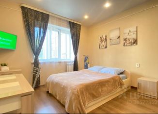 Сдается в аренду 1-комнатная квартира, 30 м2, Северодвинск, улица Торцева, 28