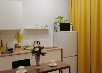Сдам квартиру студию, 28 м2, Ленинградская область, улица Чехова, 43к1
