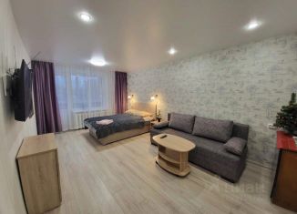 Сдача в аренду 1-комнатной квартиры, 31 м2, Сортавала, улица Победы, 1