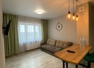 Сдается 1-ком. квартира, 35 м2, Псков, улица Юности, 20