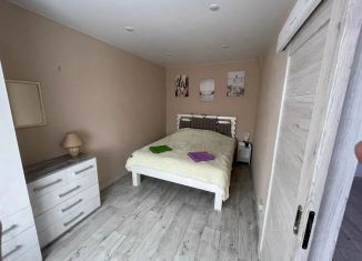 Сдаю двухкомнатную квартиру, 40 м2, Себеж, улица Свободы, 39А
