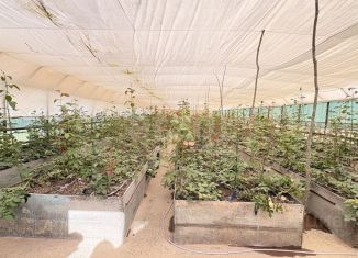 Продажа дома, 115 м2, Адыгея, 2-я Зелёная улица