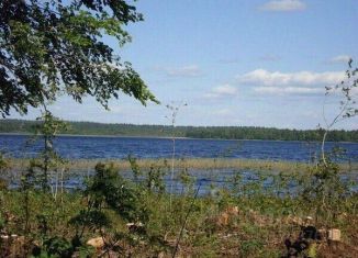 Продается участок, 90 сот., Новгородская область