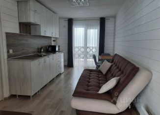 Сдается 1-комнатная квартира, 34 м2, село Архыз