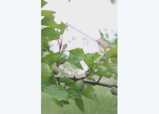 Аренда дома, 240 м2, Дербент, территория Коса, 9