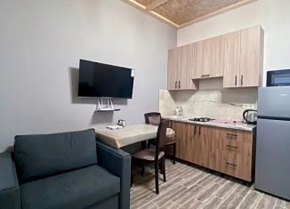 Сдается в аренду квартира студия, 24 м2, Дагестан, улица имени Р. Зорге, 43к1