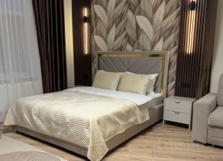 Квартира в аренду студия, 38 м2, Карачаево-Черкесия, улица Ленина, 15