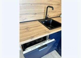 Сдается в аренду 1-комнатная квартира, 33 м2, Псков, улица Крестки, 3А