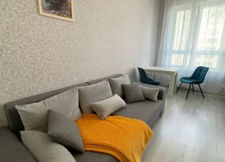 Сдам в аренду квартиру студию, 30 м2, Москва, Ореховый бульвар, 24к4, метро Красногвардейская