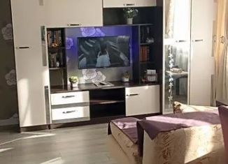 Сдается в аренду однокомнатная квартира, 34 м2, Псков, улица Труда, 56