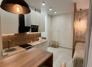 1-комнатная квартира в аренду, 24 м2, Кудрово, проспект Строителей, 1к1