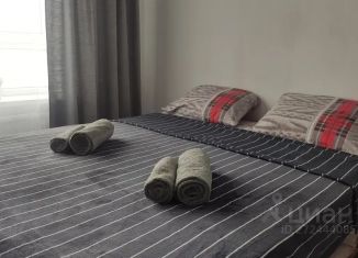 Сдам квартиру студию, 20 м2, Краснодар, улица Героев-Разведчиков, 8к4, микрорайон Панорама