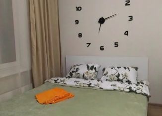 Сдаю 1-комнатную квартиру, 20 м2, Ростов-на-Дону, улица Ерёменко, 98