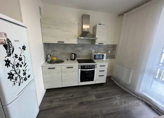 Сдается 1-комнатная квартира, 38 м2, Ленинградская область, Гаражный проезд, 27к1