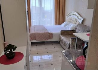 Сдается в аренду 1-ком. квартира, 20 м2, Сочи, улица Ленина, 219/6Б, ЖК Корона