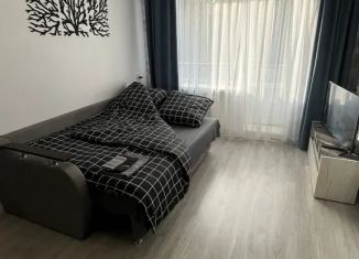 Аренда 2-ком. квартиры, 43 м2, Ленинградская область, проспект Кирова, 81