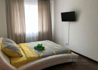 Сдаю 1-комнатную квартиру, 35 м2, Пушкино, улица Просвещения, 12к2