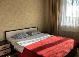 Сдается в аренду 1-ком. квартира, 67 м2, Татарстан, проспект Победы, 139Ак2