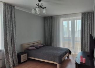 Сдается однокомнатная квартира, 78 м2, Казань, улица Лушникова, 10, Московский район