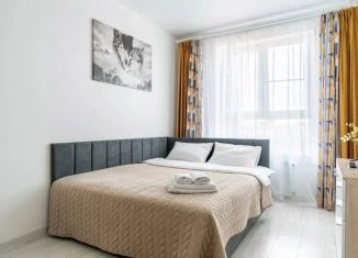 Аренда 1-ком. квартиры, 38 м2, Ленинградская область, улица Чехова, 41к2