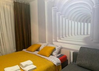 1-ком. квартира в аренду, 44 м2, Ленинградская область, улица Чехова, 43к1