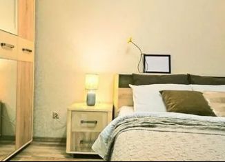 Аренда двухкомнатной квартиры, 55 м2, Казань, проспект Победы, 34