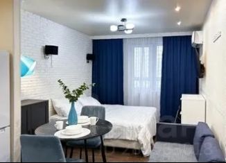 1-ком. квартира в аренду, 23 м2, Московская область, Молодёжная улица, 78