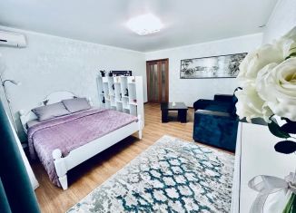 Сдам 1-комнатную квартиру, 55 м2, Воронеж, бульвар Победы, 50