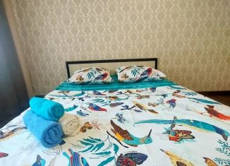 Сдаю 1-ком. квартиру, 43 м2, Самара, улица Гастелло, 44, метро Спортивная