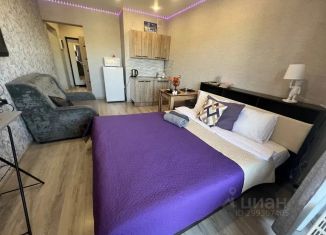 Сдается квартира студия, 30 м2, Иркутская область, улица Пискунова, 148/8