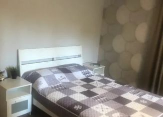 Сдается 1-ком. квартира, 30 м2, Самара, улица Мечникова, 52, Железнодорожный район