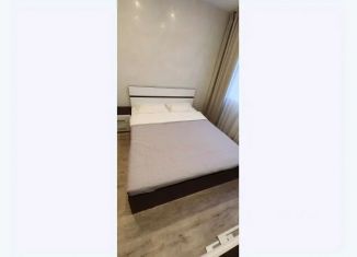 Сдается в аренду 1-комнатная квартира, 21 м2, Красноярский край, проезд Михайличенко, 6